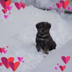 Meet your Posher, Monique